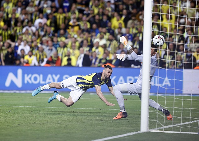 在本赛季 在本赛季