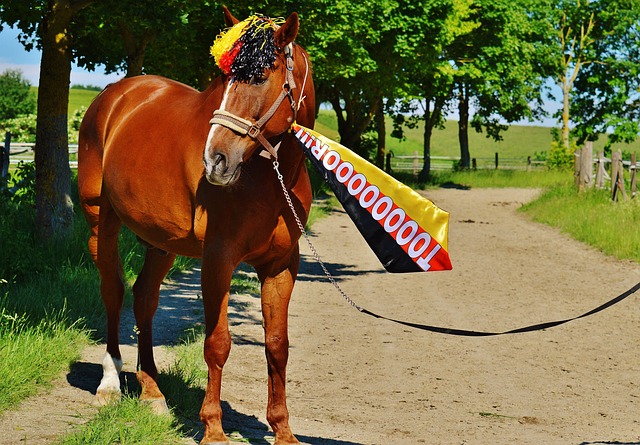 个人技术训 个人技术训