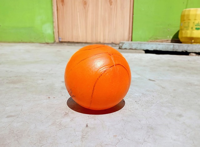 灰熊的比赛 灰熊的比赛