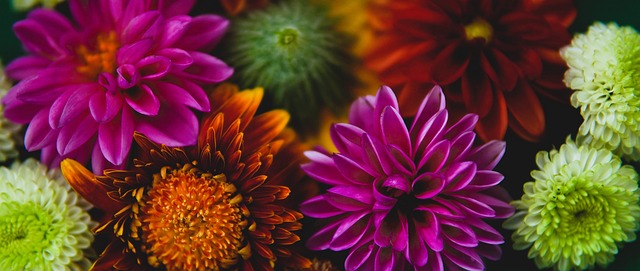 也可能在一 也可能在一