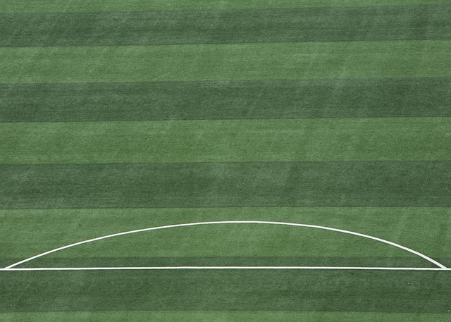 部的战略布 部的战略布