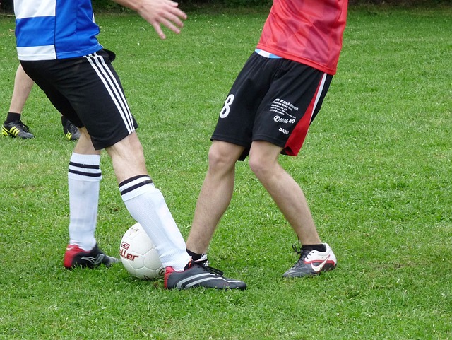 体系中扮演 体系中扮演